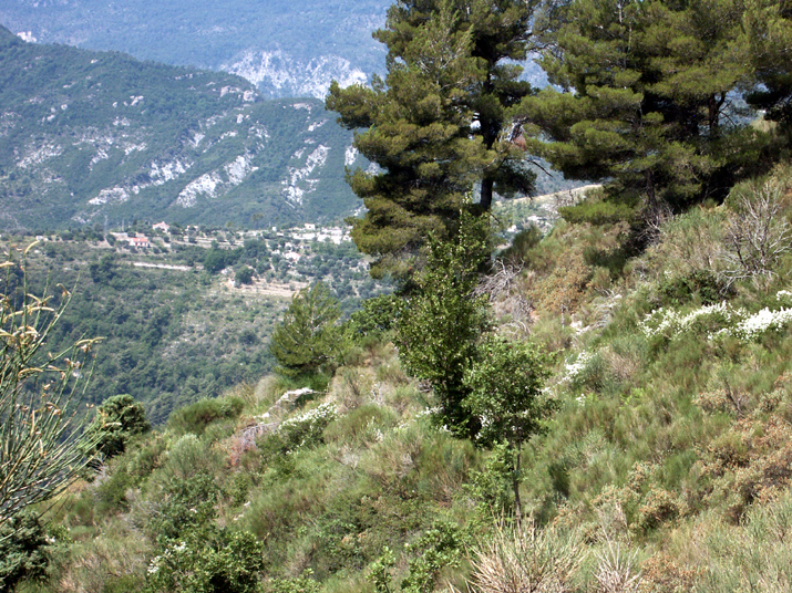 2004-07 Lucéram 017.jpg - DCF 1.0